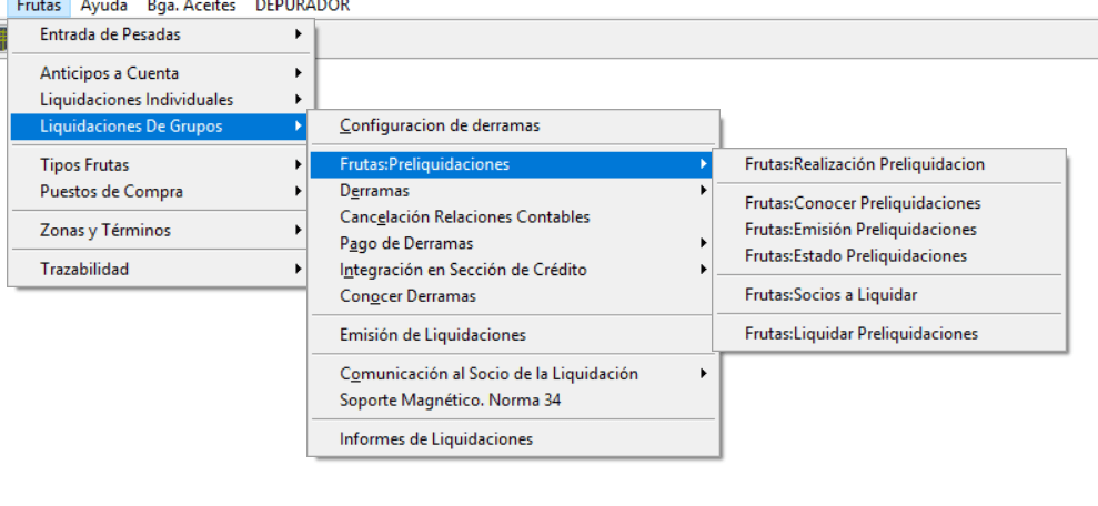 Ruta menú Preliquidaciones