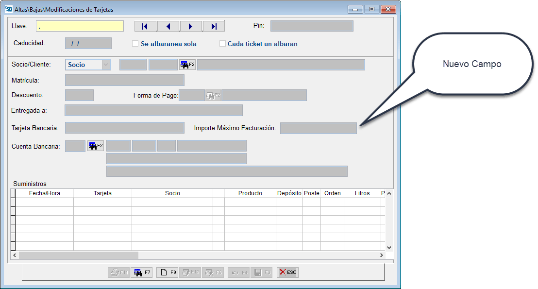 Importe máximo de facturación