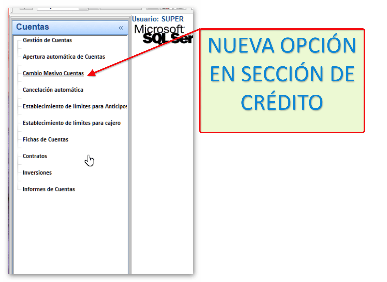 Cambio Masivo de Cuentas