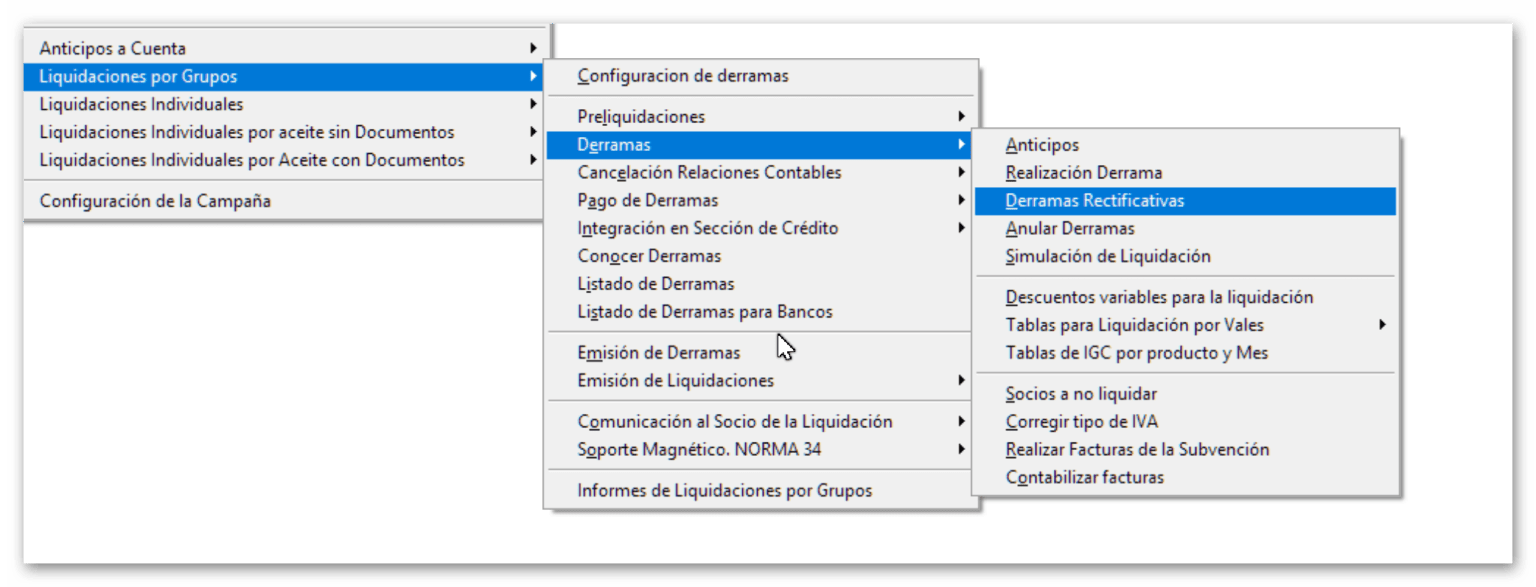 Ruta para rectificar liquidaciones Ruta para rectificar liquidaciones