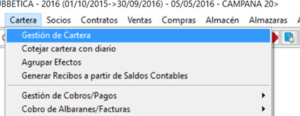 ruta acceso a Gestión de Cartera