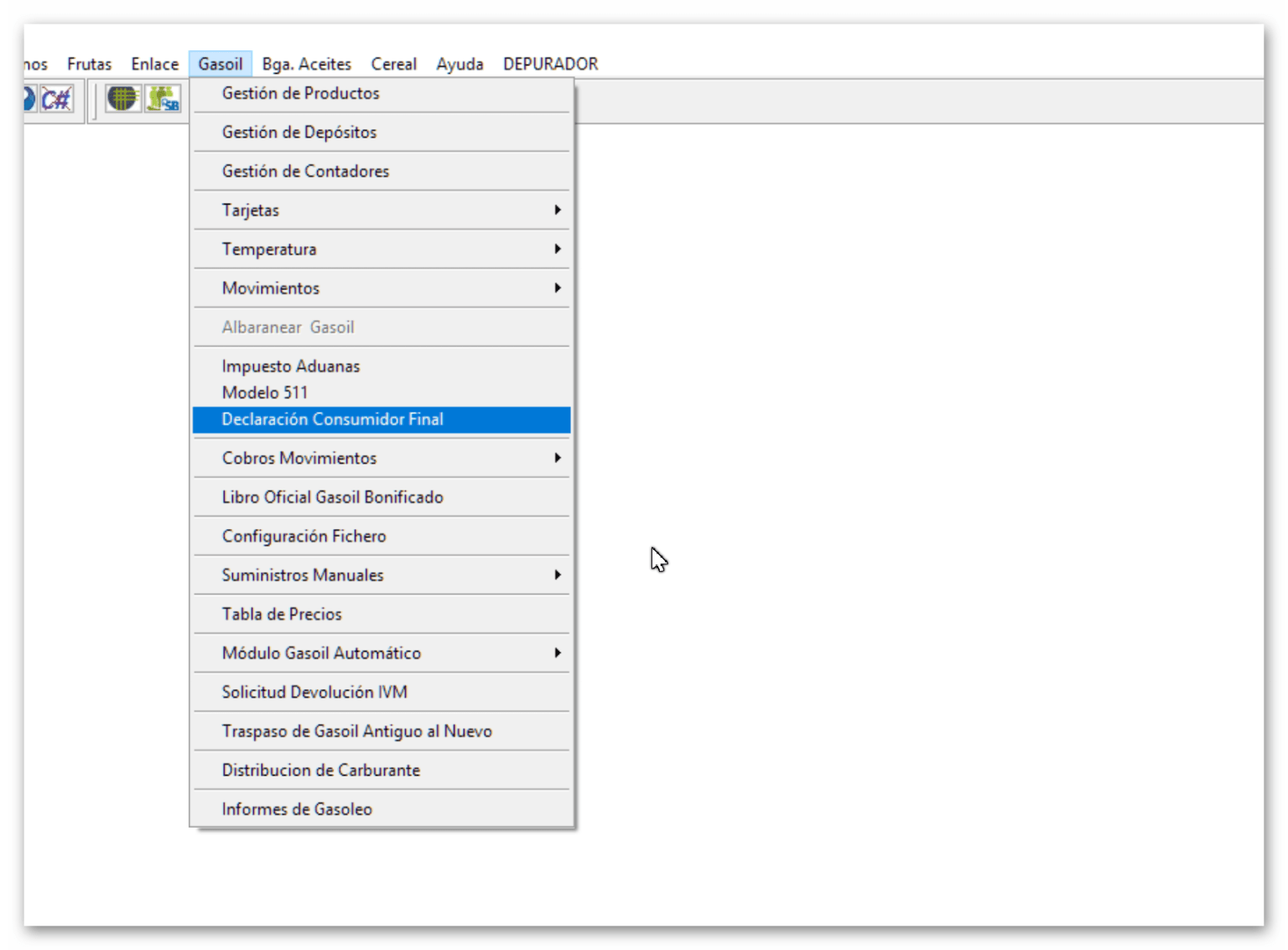 Ruta Declaración Consumidor Final