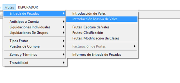 Ruta introducción masiva de vales
