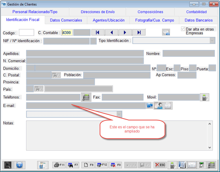 Ampliación campo E-mail