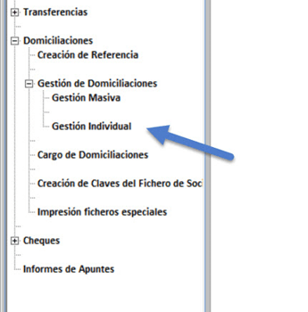 Ruta Gestión Individual