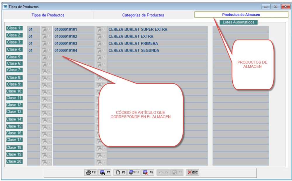 Definición de artículo para cada categoría de producto